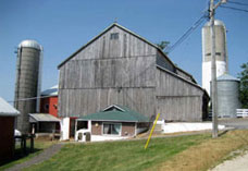 Mennonite Farm Tours