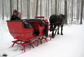winter st sleigh tours jacobs rides horse